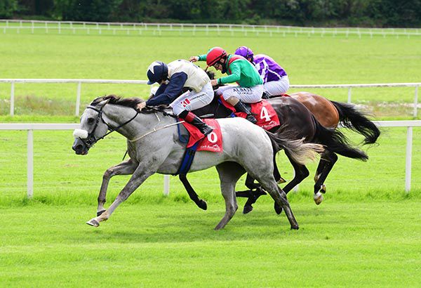 The grey Thunder Kiss and Colin Keane get the better of Silence Please (no.4) 