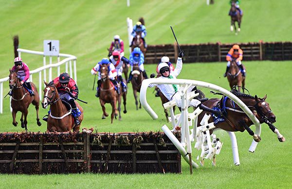 Irishracing Com News Tommydan Wins Dramatic Clonmel Opener