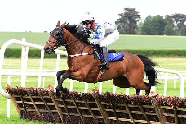 Diggin Deep on his way to victory