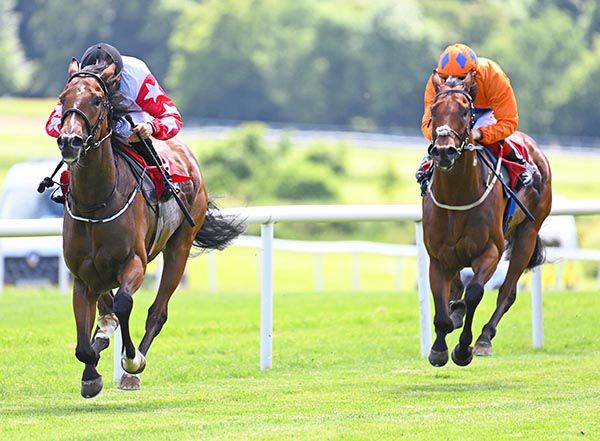 New Hill (Robbie Colgan) beats Gegenpressing (Colin Keane)