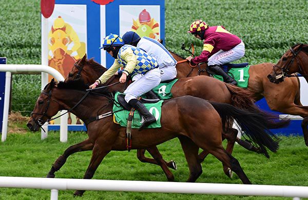 Willyouwalkwithme (nearside) just prevails under Dylan Johnston