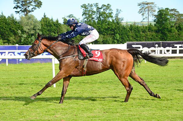 Moddy Poddle and Siobhan Rutledge