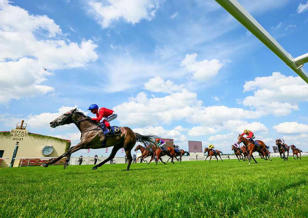 Indie Angel winning at Royal Ascot under Frankie Dettori