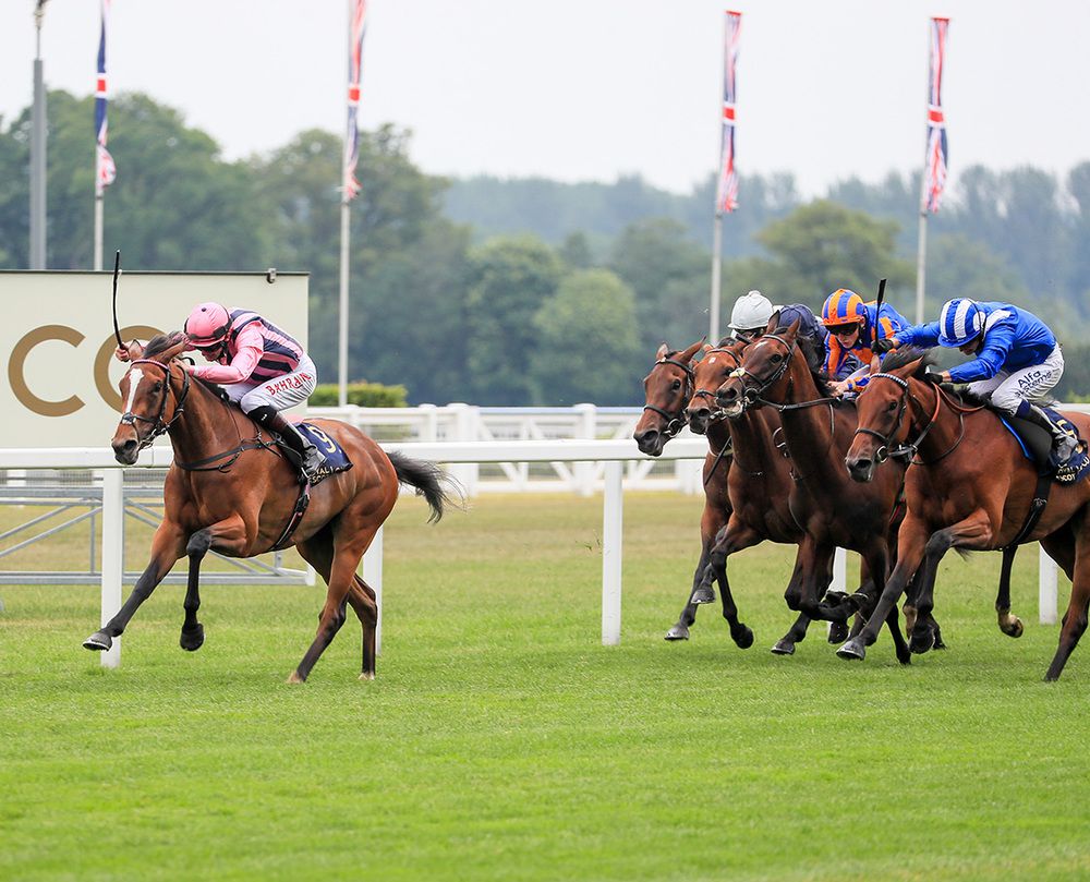 Loving Dream wins under Rab Havlin