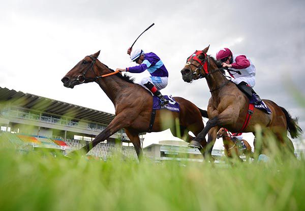 Musalsal wins under Scott McCullagh