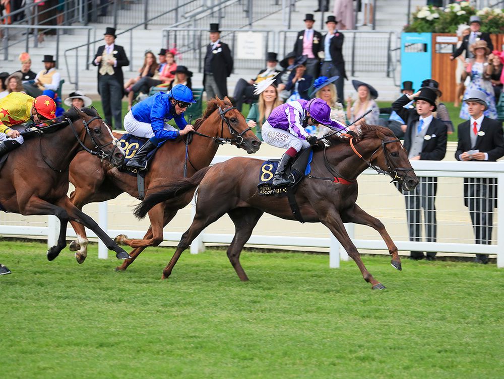 Perotto wins under Oisin Murphy