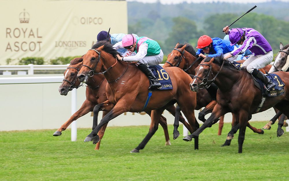 Surefire wins under Hector Crouch