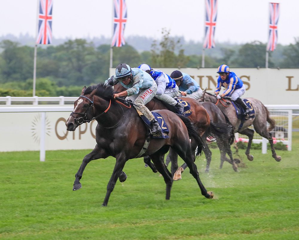 Alenquer seen here winning at Royal Ascot under Tom Marquand
