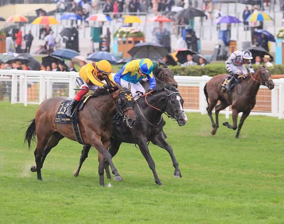 Campanelle, near side