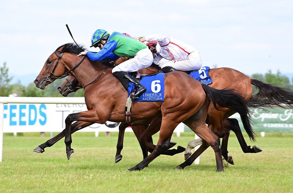 Snapius and Mikey Sheehy (near side win)