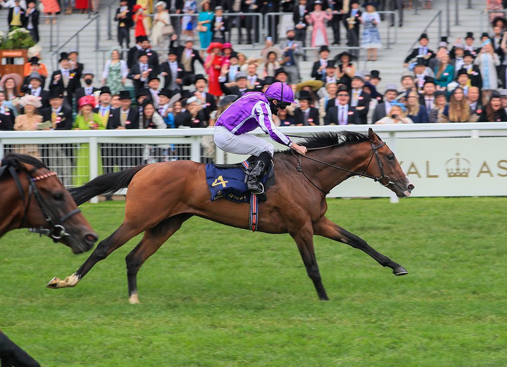 Point Lonsdale winning the Chesham Stakes 