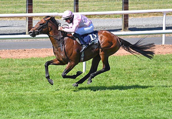 Irishracing Com News Iowa Leads Ballydoyle 1 2 In Ulster Derby