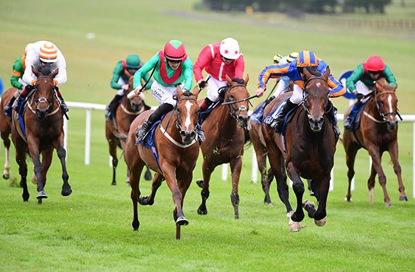 Willow (right, blue & orange)