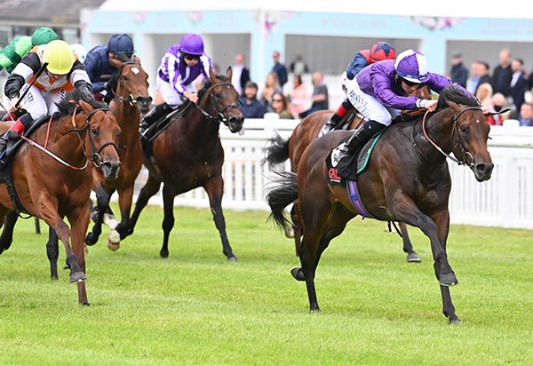 Go Bears Go (purple) leads home Castle Star in the Railway Stakes in June