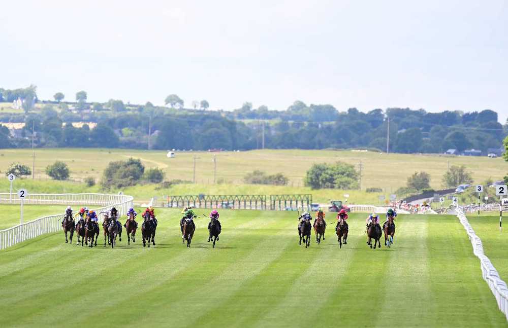 The Curragh
