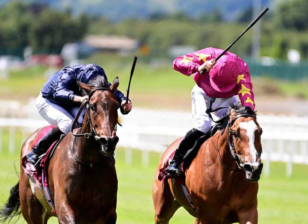 Santa Barbara (left) has won twice in America since going close in the Pretty Polly Stakes
