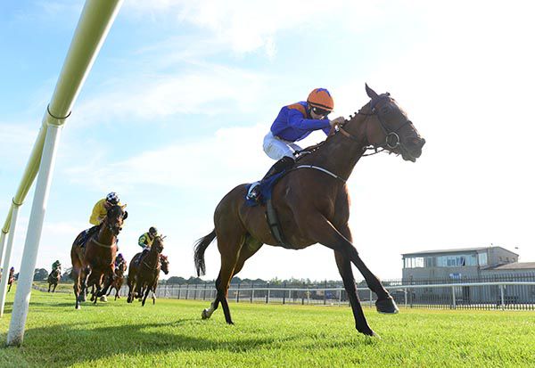 Miss Florentine wins under Mikey Sheehy