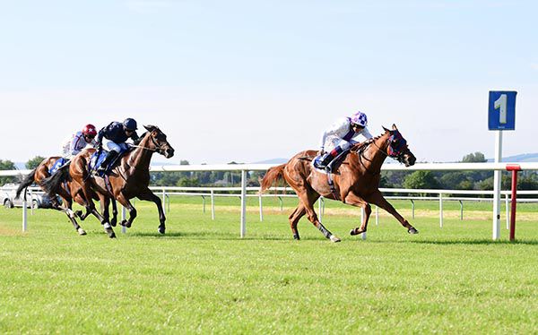 Celtic Times leads them home