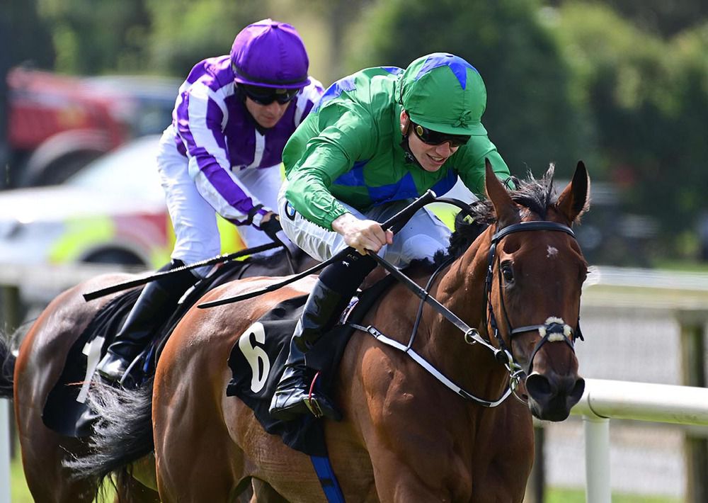 Tosen Lydia and Shane Crosse win from Cyclamen
