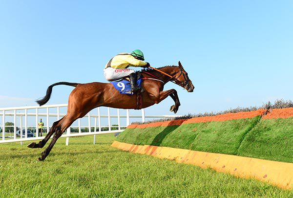 Fairyhill Run and Danny Mullins jump the last