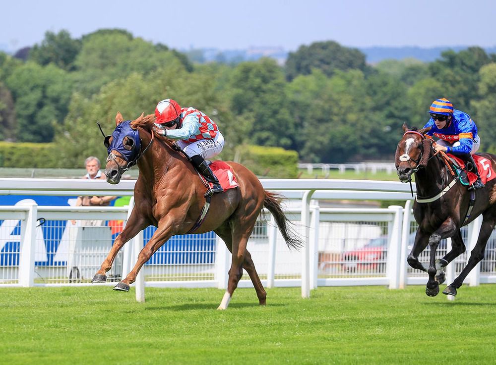 Red Verdon in full cry