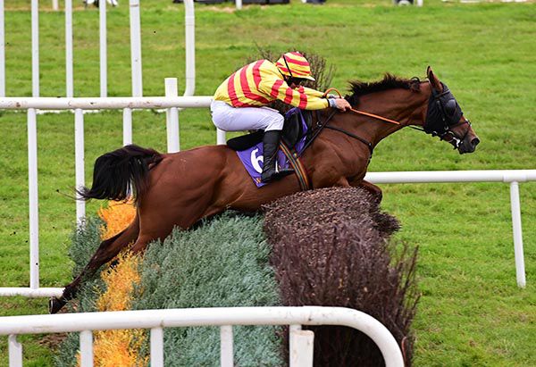 Friary Rock jumps the last under Phillip Enright
