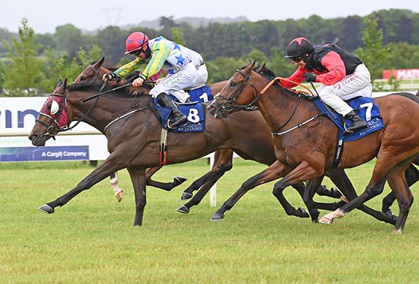 Corballis Flyer (no.8) and Rory Cleary come home in front 