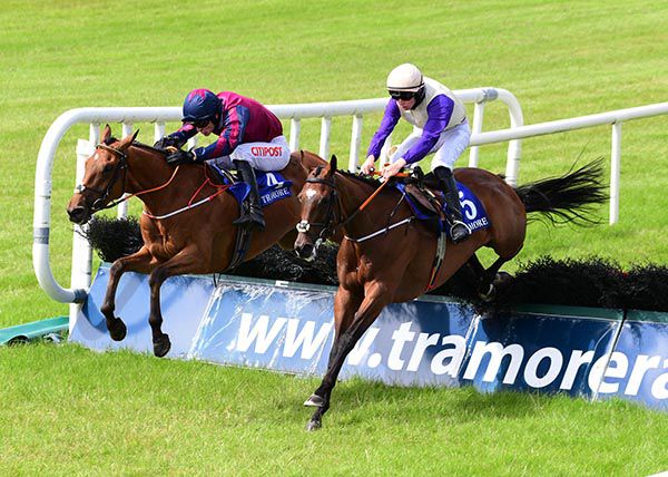Ferdia (left) and Schone Aussicht jump the last together 