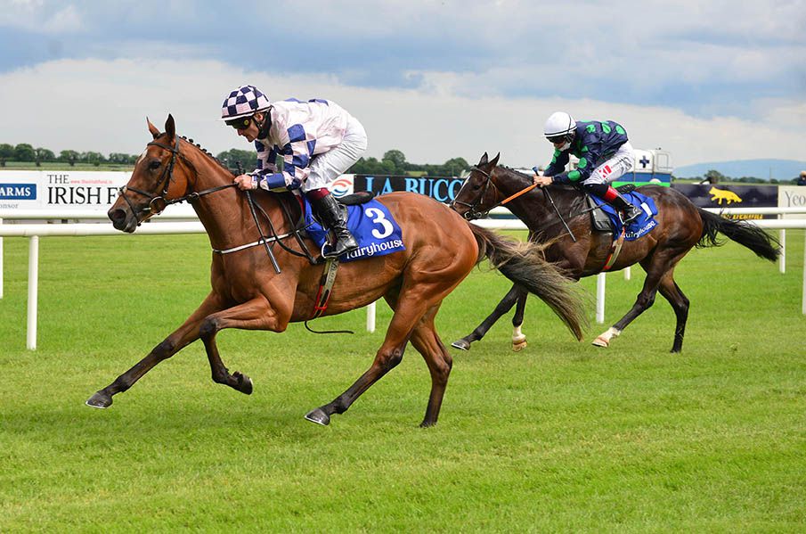 Sea Sessions winning on the Flat at Fairyhouse