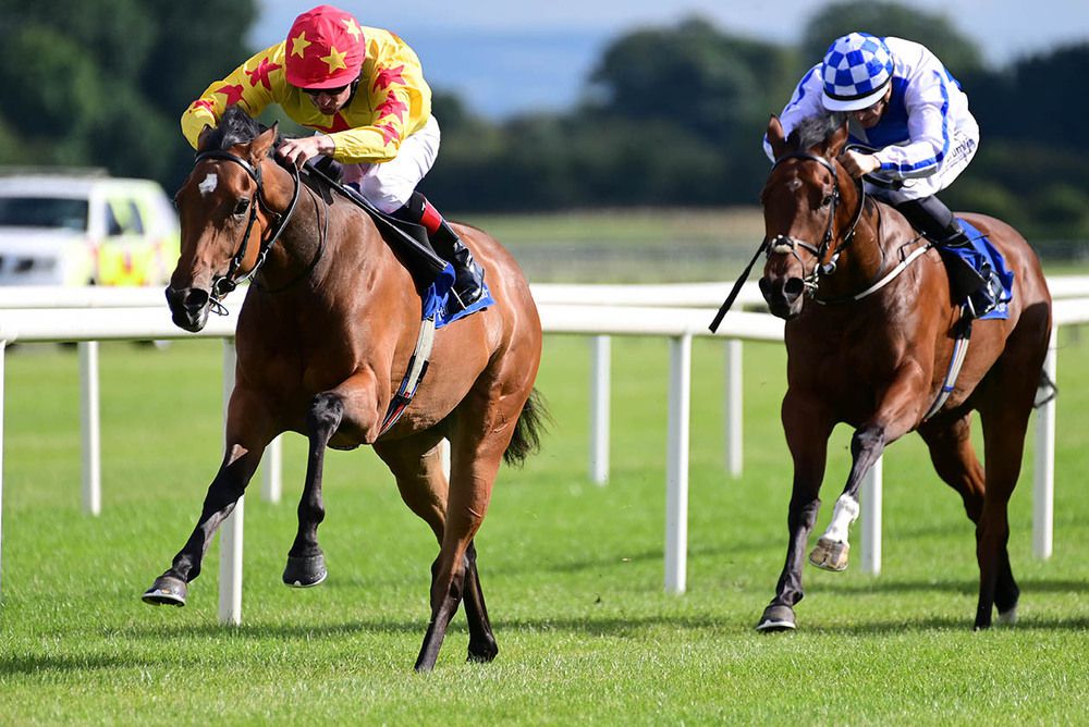 Fairyhouse winner Pennine Hills (left) is favourite for the Marwell Stakes at Naas 