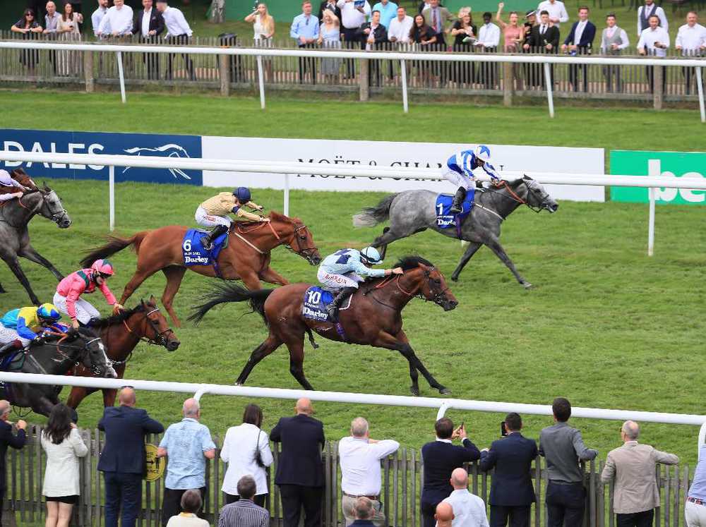 July Cup winner Starman (no.10) is favourite at Haydock