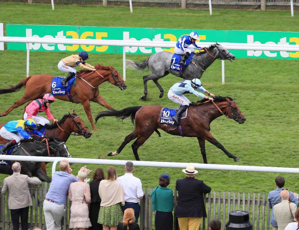 Starman winning at Newmarket