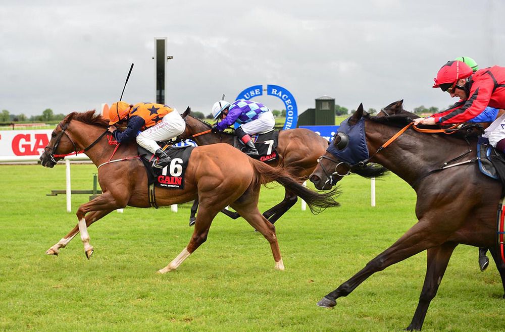 It's All A Joke knows where the winning post is