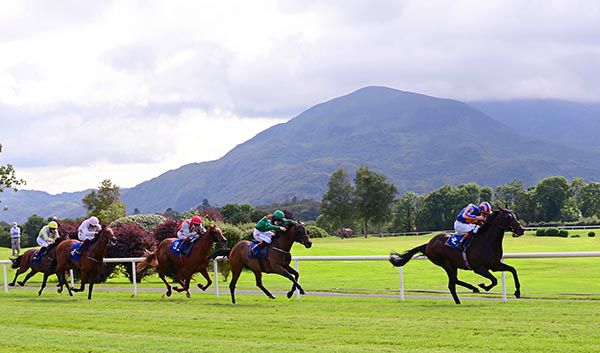 Horoscope is pushed out to score by Emmet McNamara
