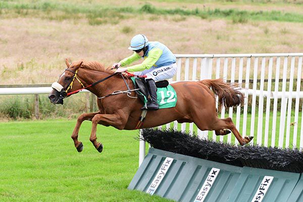 Hidden Land and Luke Dempsey jump the last 