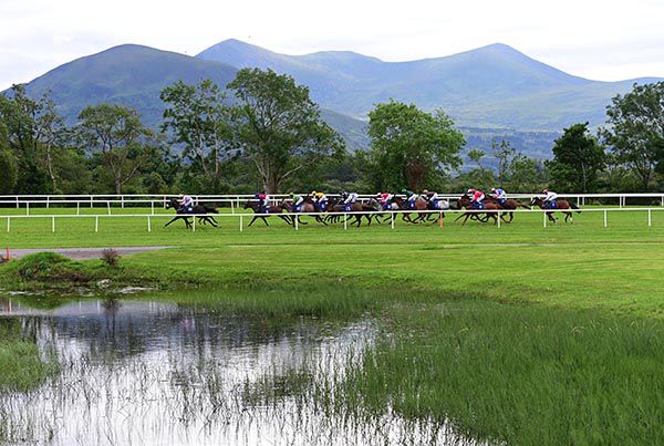 Yellow silks Colin Keane chases the leaders on eventual winner Celtic Crown approaching the straight