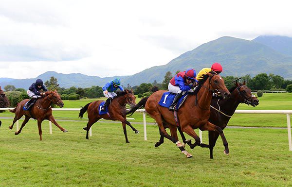 Luxembourg and Michael Hussey (near side) challenge Tuwait