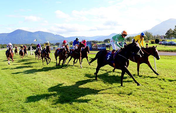 Crystal Pool (No.5) beats Is Fantastic