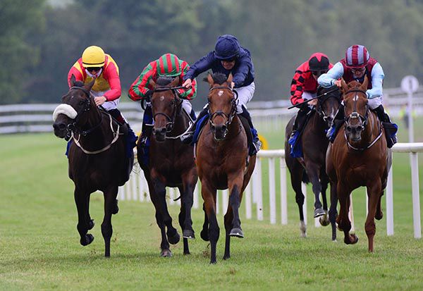 Exuma (navy blue) stays on best under Michael Hussey 