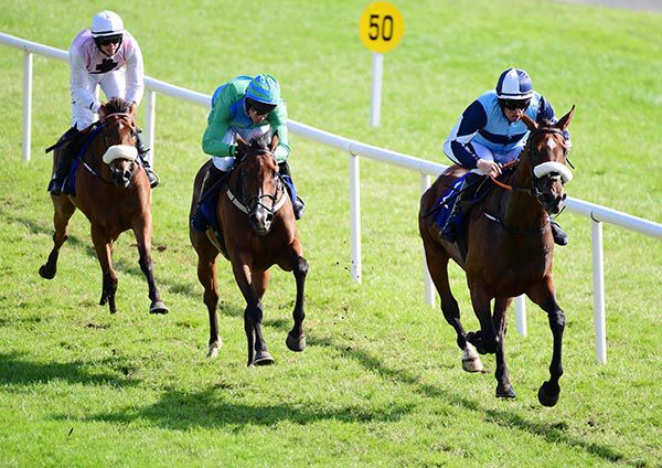 Jeremys Jewel leads them home 