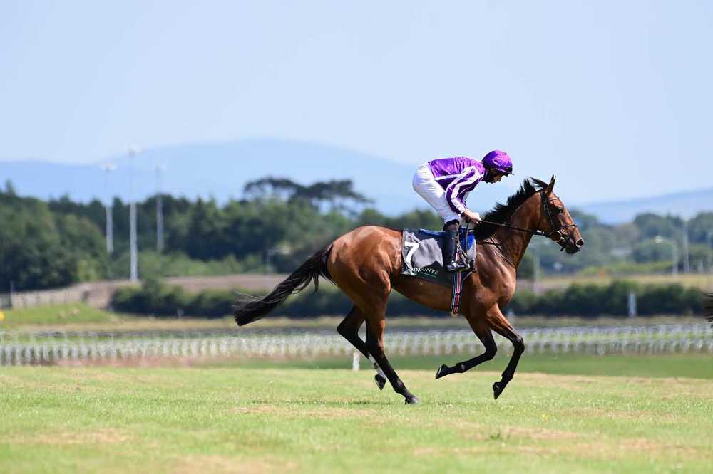Snowfall on her way to another scintillating performance on the track at the Curragh on Saturday