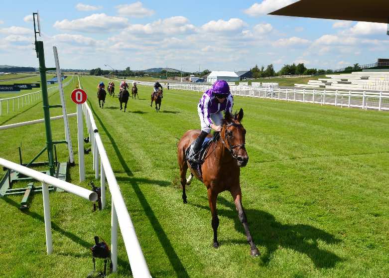 Snowfall winning the Irish Oaks in July