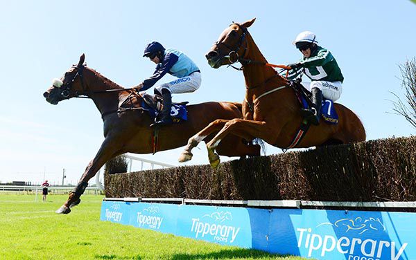 Havingagoodtime (Darragh O'Keeffe, nearside) beat Heliers Bay (Sean O'Keeffe) in the Tipperary opener