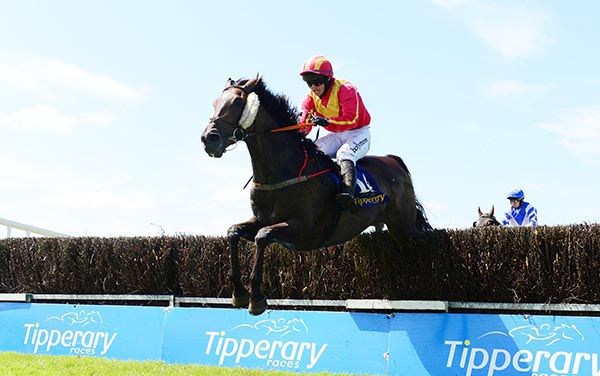 Hungry Tiger and Darragh O Keeffe 