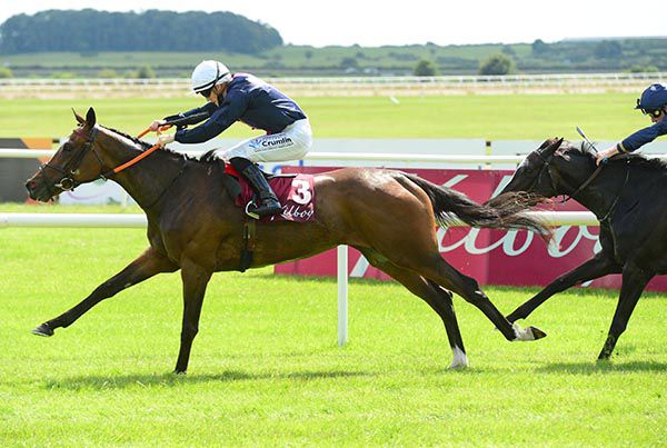 Insinuendo and Billy Lee winning the Kilboy Estate Stakes 