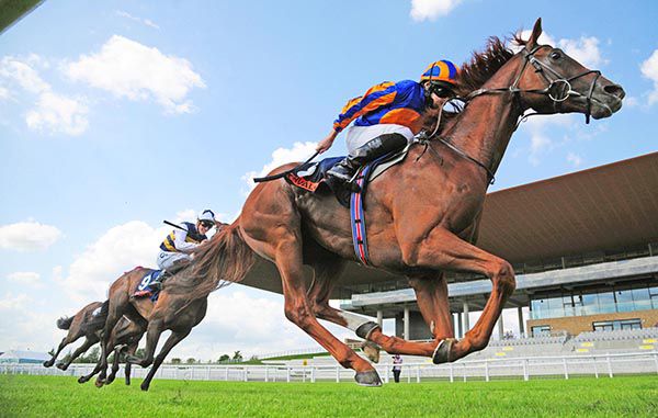Yarrawonga stays on well for Ryan Moore