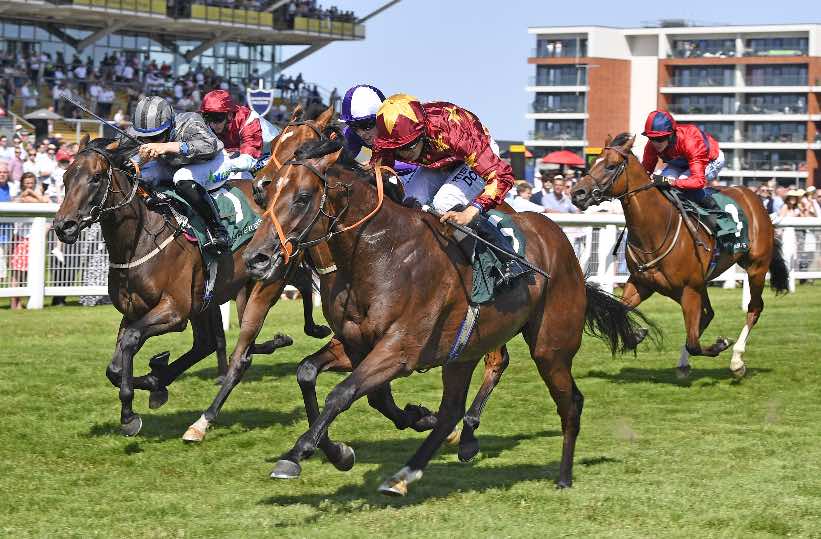 Gubbass (near side) winning the valuable Super Sprint at Newbury