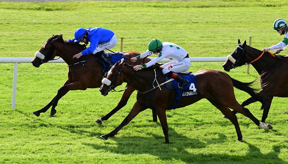 Only Sky, far side, winning by a neck over an extended mile and a half