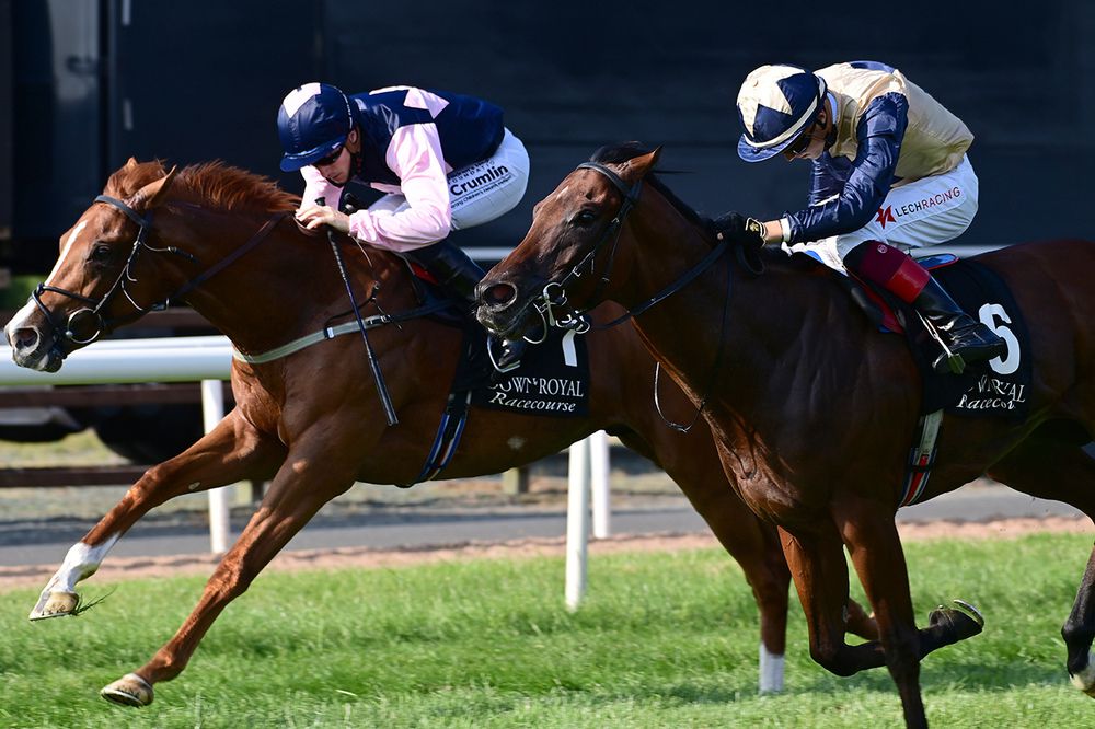 Down Royal winner Glengarra, far side, contests the Coolmore Stud Churchill Stakes in Tipperary