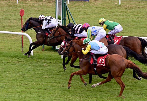 Beleaguerment got up the rail and leads them home under Siobhan Rutledge at Gowran